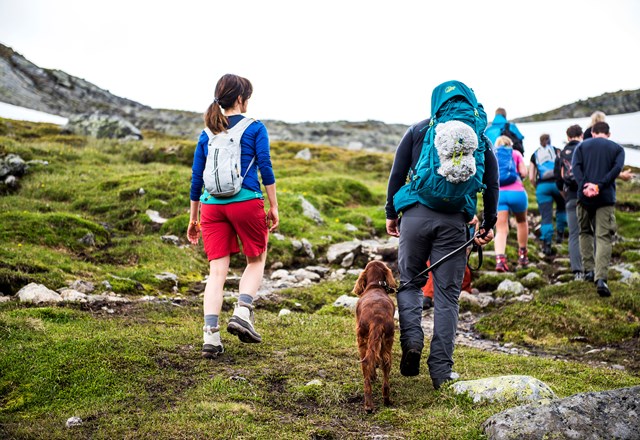 DSC 0857 Toril Apelthun 2017 Torshammaren