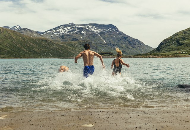 52972726478 E27afa6c4e O