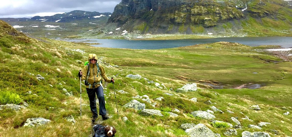 Trude Myhre går over Hardangervidda og gjennom Skarvheimen på veg til Vinjerock.